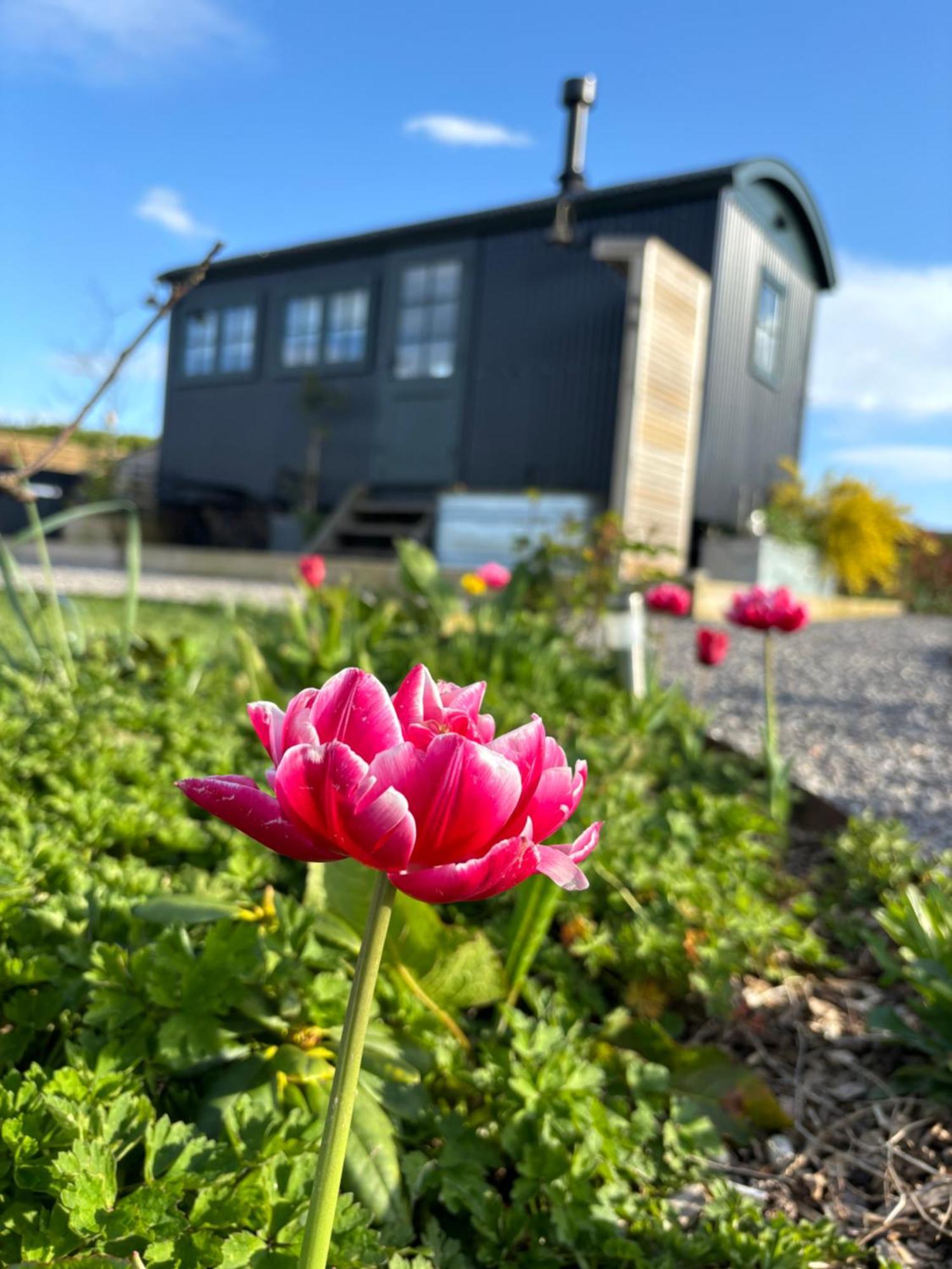 The Winford Retreat Villa Eksteriør bilde